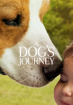A Dog's Journey - Qua la zampa 2: Un amico è per sempre (2019)