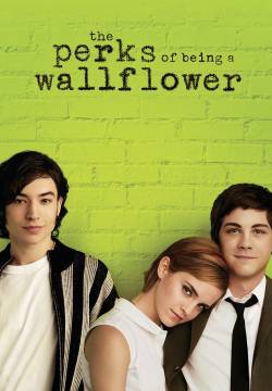 The Perks of Being a Wallflower - Noi siamo infinito (2012)