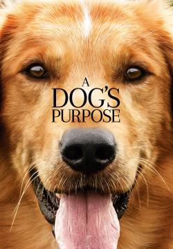 A Dog's Purpose - Qua la zampa! (2017)