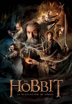 The Hobbit: The Desolation of Smaug - Lo Hobbit: La desolazione di Smaug (2013)