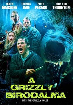 Into the Grizzly Maze - Labirinto dei Grizzly (2015)