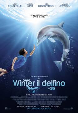 Dolphin Tale - L'incredibile storia di Winter il delfino (2011)
