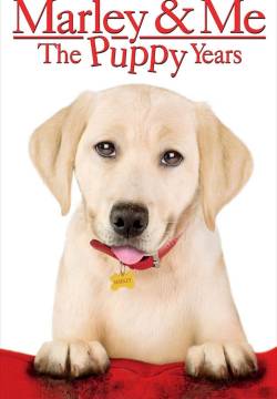 Marley & Me: The Puppy Years - Io & Marley 2: Il terribile (2011)