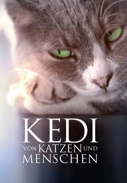 Kedi - La città dei gatti (2017)