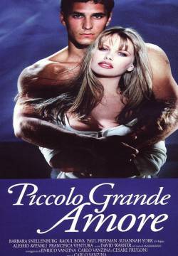 Piccolo grande amore (1993)