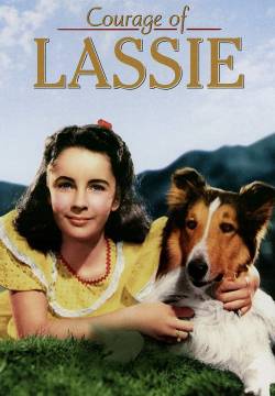 Courage of Lassie - Il coraggio di Lassie (1946)