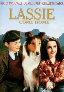 Lassie Come Home - Torna a casa Lassie! (1943)