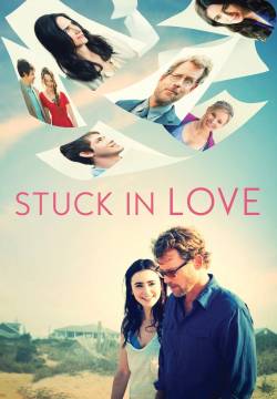 Stuck in Love - Amore ingarbugliato (2012)