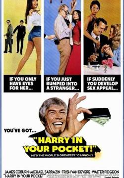 Harry in Your Pocket - Il professionista (1973)