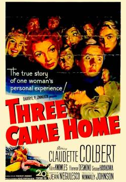 Three came home - ...e la vita continua (1950)