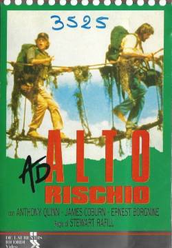High Risk - Alto Rischio (1993)