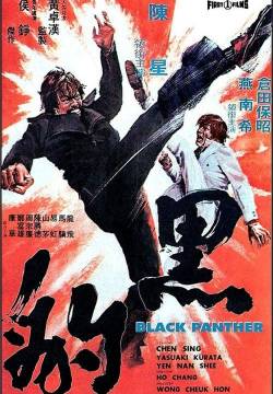Hei bao - Ordine da Hong Kong: uccidete la pantera nera (1973)