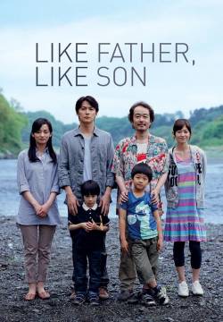 Like Father Like Son (2013)