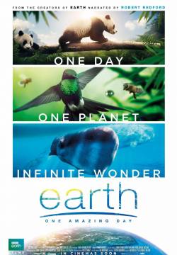 Earth: One Amazing Day - Un giorno straordinario (2017)