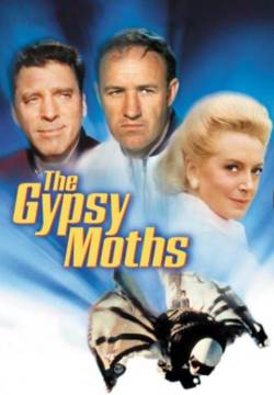 The Gypsy Moths - I temerari (1969)