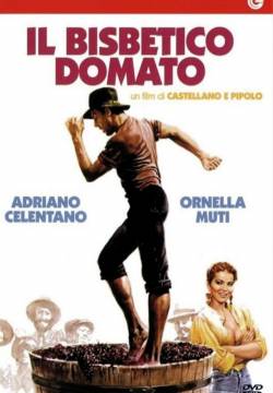 The Taming of the Scoundrel  - Il bisbetico domato (1980)