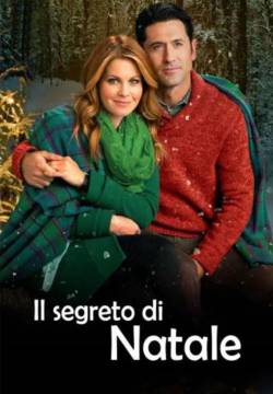 Christmas Under Wraps - Il segreto di Natale (2014)