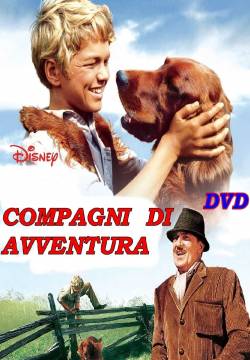Big Red - Compagni d'avventura (1962)