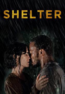 Shelter - senza dimora (2014)