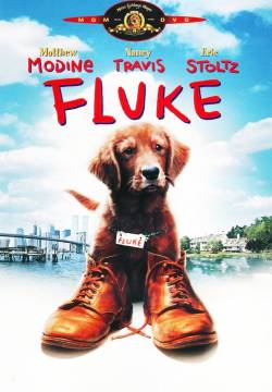 Fluke (1995)