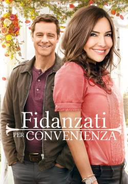 The Convenient Groom - Fidanzati per convenienza (2016)