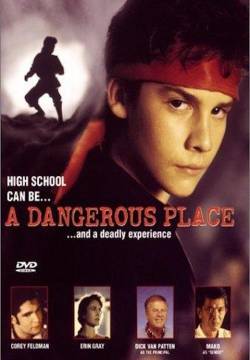 A Dangerous Place - Un gioco molto pericoloso (1995)