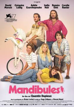 Mandibules - Due uomini e una mosca (2020)