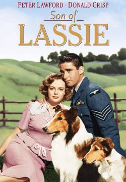 Son of Lassie - Il figlio di Lassie (1945)