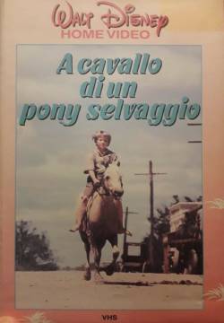 A cavallo di un pony selvaggio (1975)