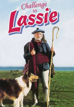Challenge to Lassie - Il ritorno di Lassie (1949)