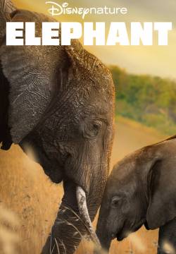 Elephant - La Famiglia di Elefanti (2020)