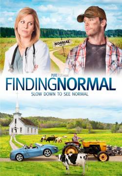 Finding Normal - Cercando la normalità (2013)