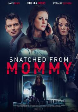 Snatched from Mommy: A Mother's Fury - Il rapimento di Evan (2021)