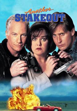 Another Stakeout - Occhio al testimone (1993)