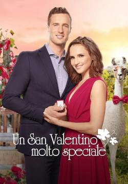Valentine in the Vineyard - Un San Valentino molto speciale (2019)