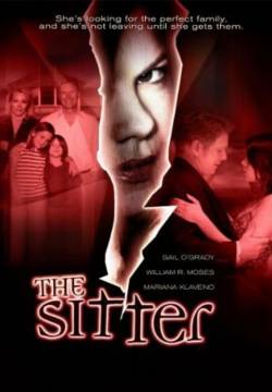 The Sitter - Il passato di una sconosciuta (2007)