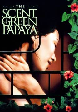 Mùi đu đủ xanh - Il profumo della papaya verde (1993)