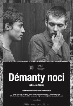 Démanty noci - I diamanti della notte (1964)