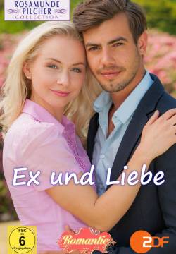 Rosamunde Pilcher: Ex und Liebe - Quando meno te lo aspetti (2016)
