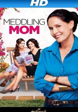 Meddling Mom - Cuore di mamma (2013)