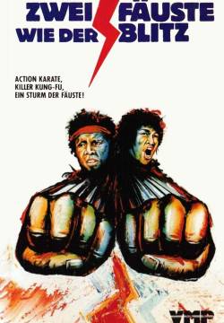 Zwei Fäuste wie der Blitz - Chu Ba (1973)
