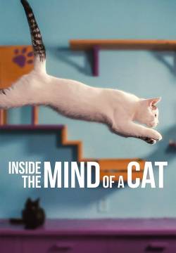 Inside the Mind of a Cat - Nella mente di un gatto (2022)