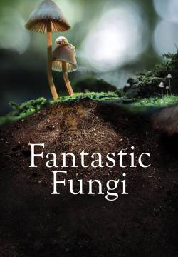 Fantastic Fungi - Funghi fantastici (2019)