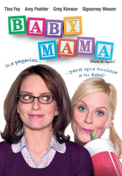 Baby Mama - Una mamma in prestito (2008)