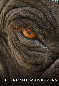 The Elephant Whisperers - Raghu, il piccolo elefante (2022)