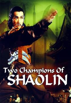 I due campioni dello Shaolin (1980)