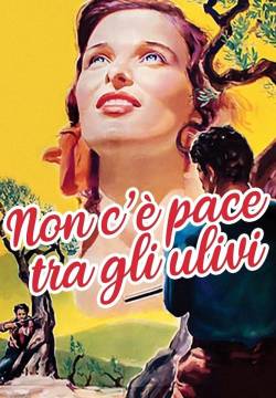 Non c'è pace tra gli ulivi (1950)