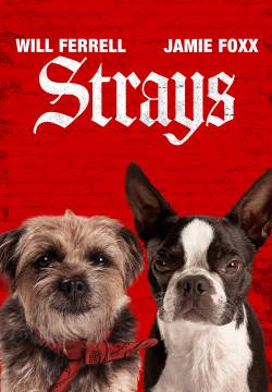 Strays - Doggy Style (2023)