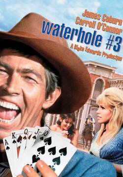 Waterhole #3 - La vecchia legge del West (1967)