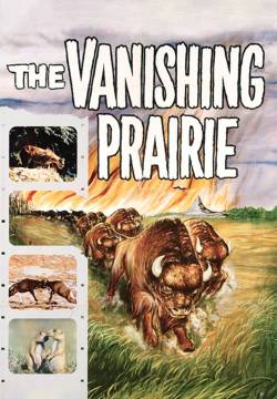 The Vanishing Prairie - La grande prateria (1954)